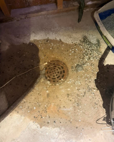 Slow basement floor drain backing up from a recurring clog