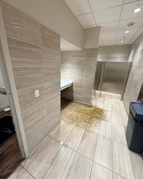 Sewage backing up through a floor drain in a Colorado Springs restroom